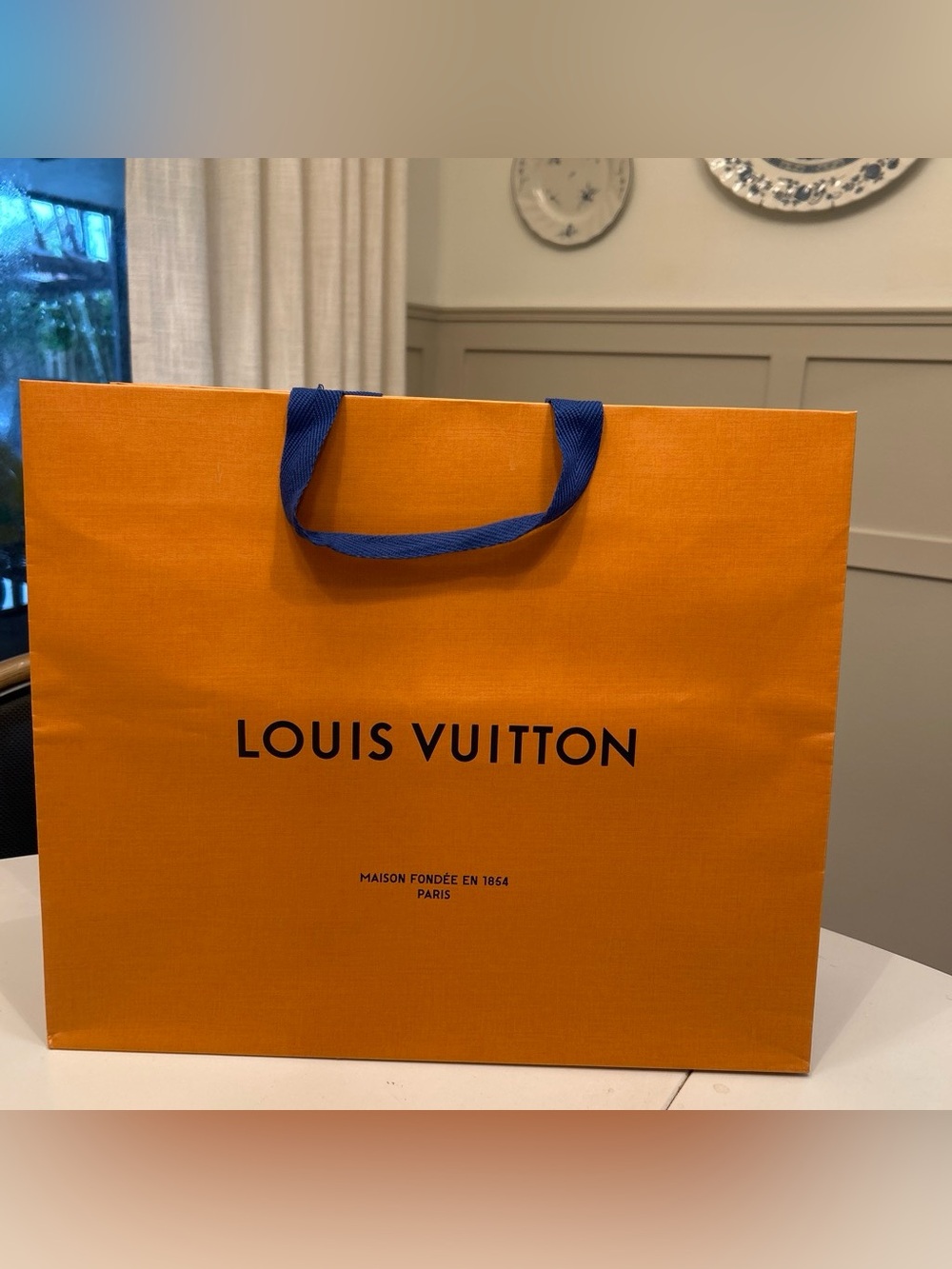 Louis Vuitton shopping bag